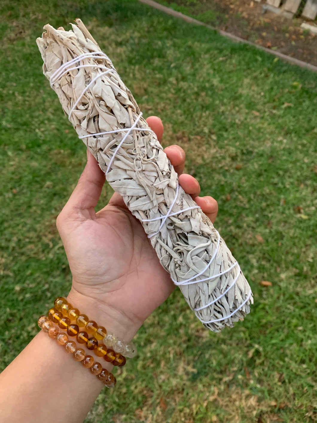 Jumbo sage