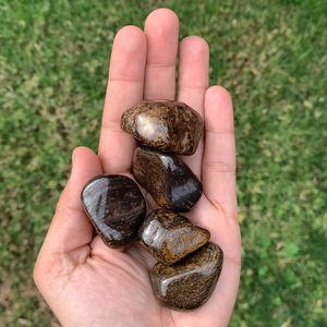 Bronzite