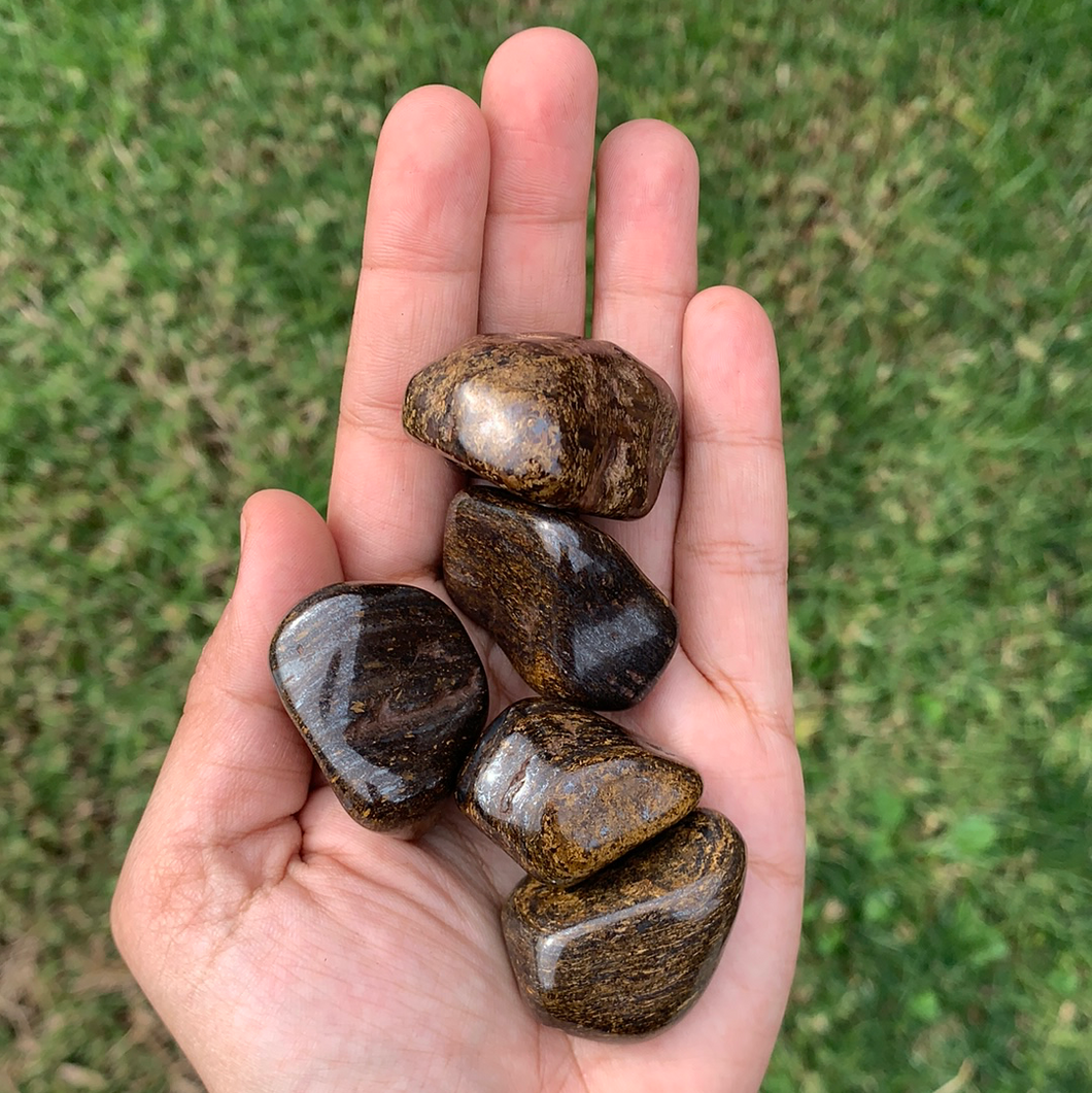 Bronzite