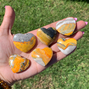 Bumblebee Jasper